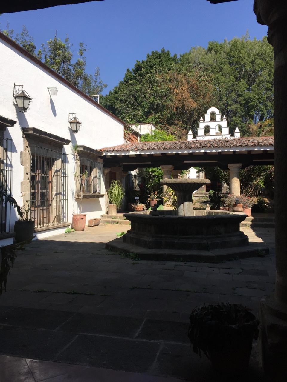 PHOTO-2019-03-01-11-22-42 (1)