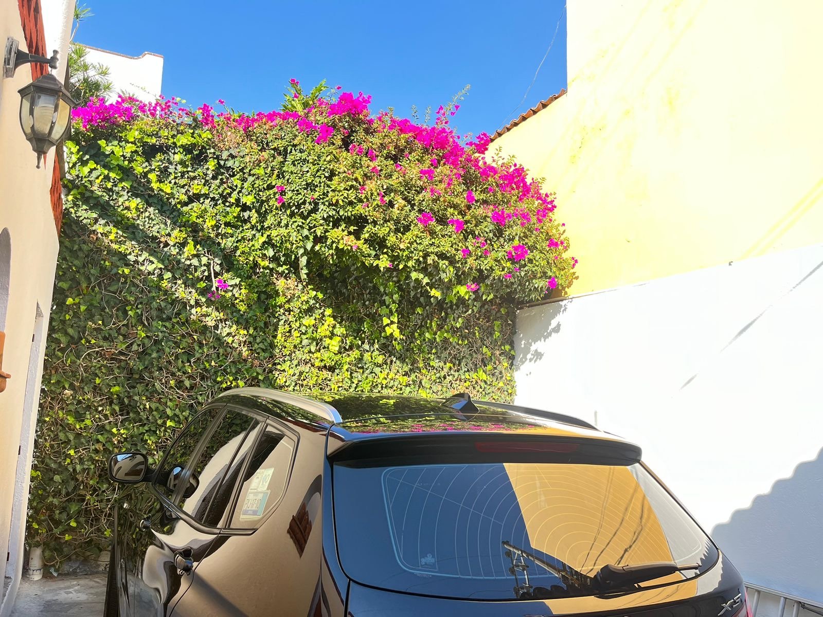 a30f102d-c71b-4d75-ad9f-10a9ac52614c