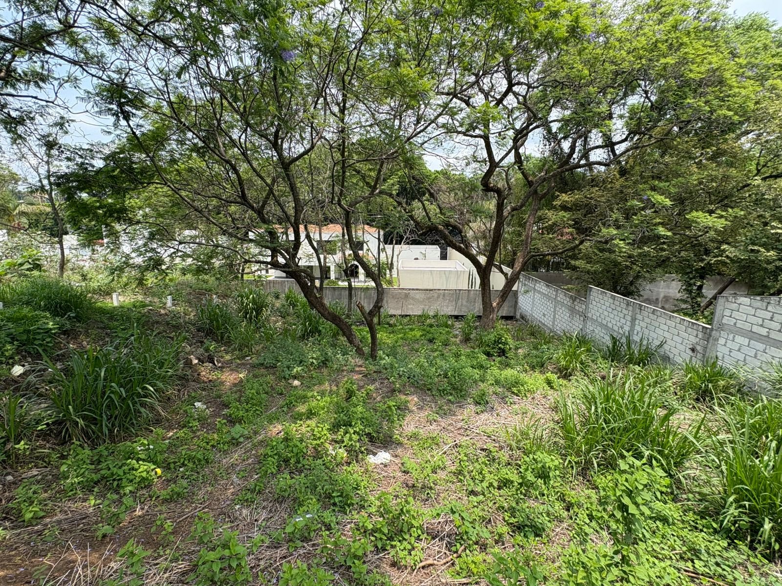 TERRENOAVILACAMACHOVENTA (4)