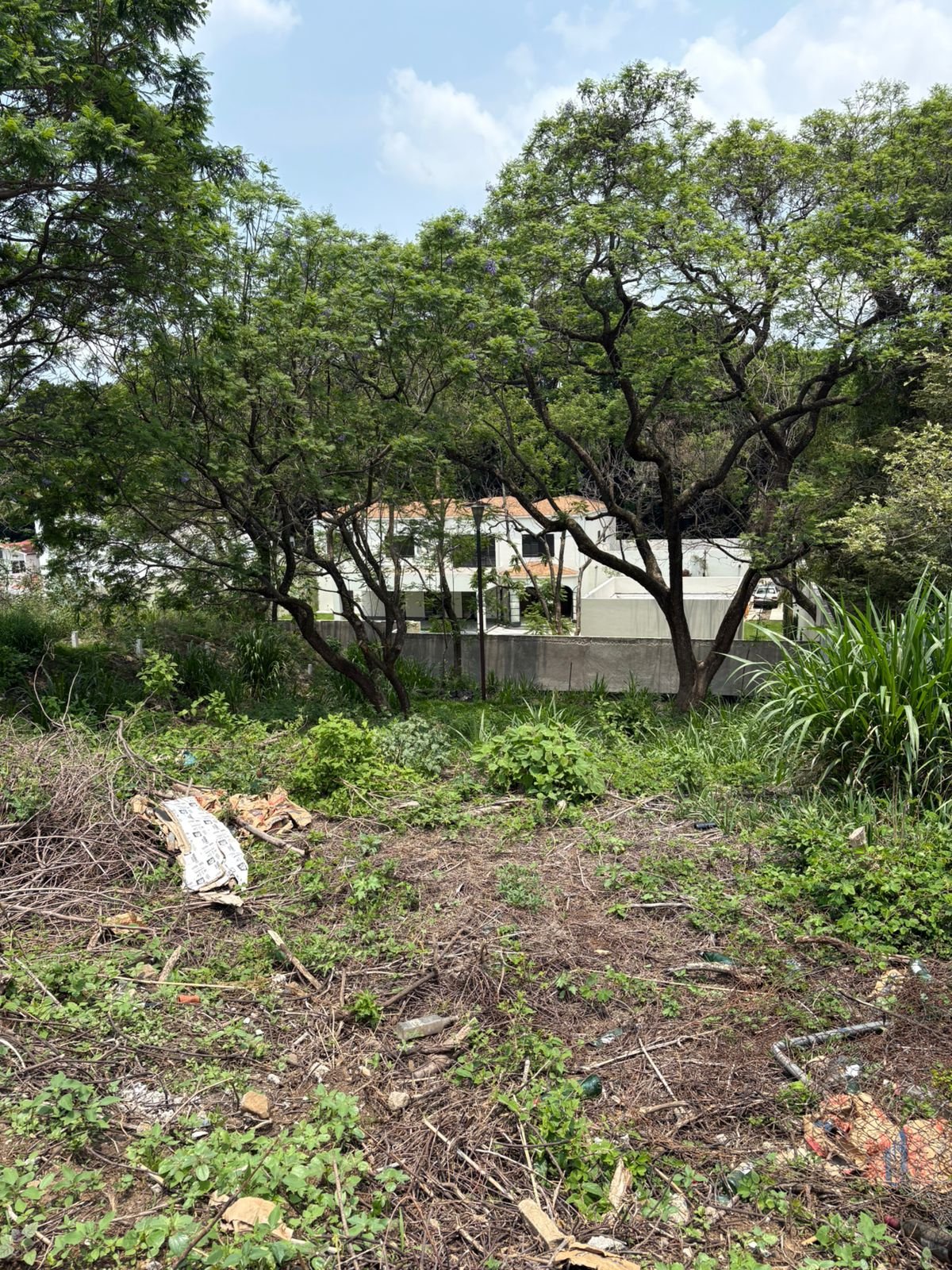 TERRENOAVILACAMACHOVENTA (5)