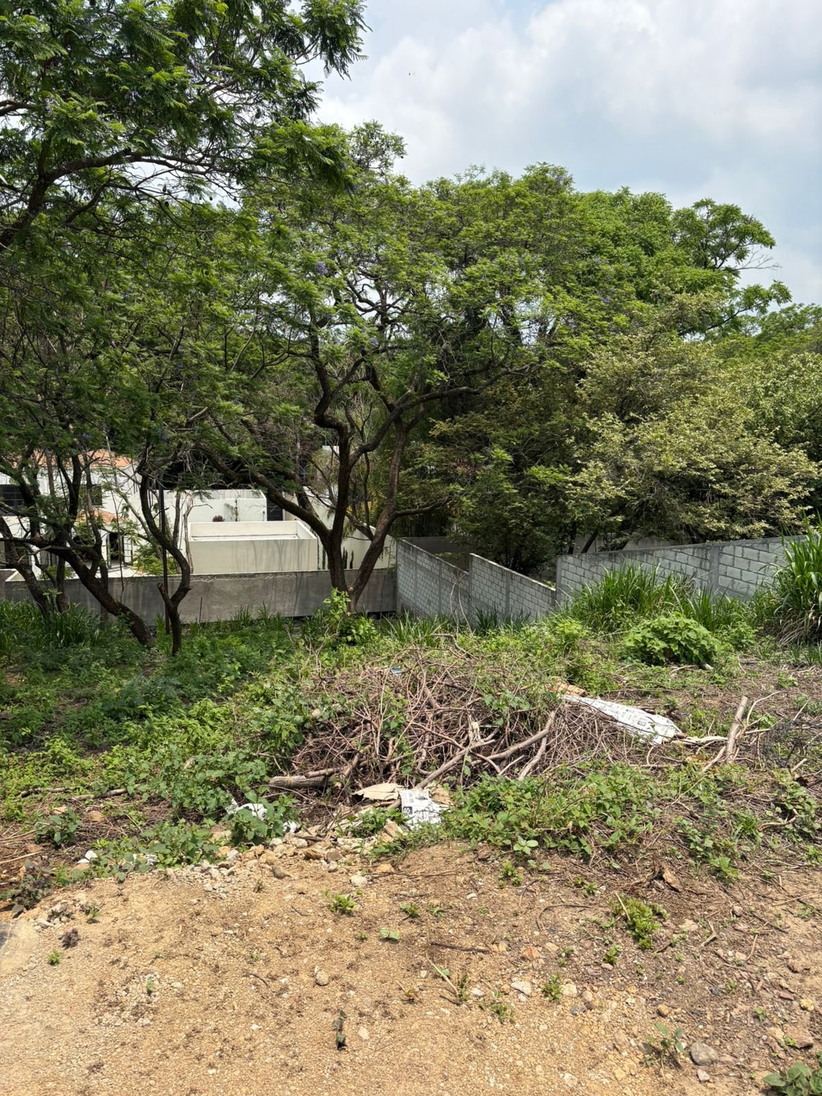 TERRENOAVILACAMACHOVENTA (8)